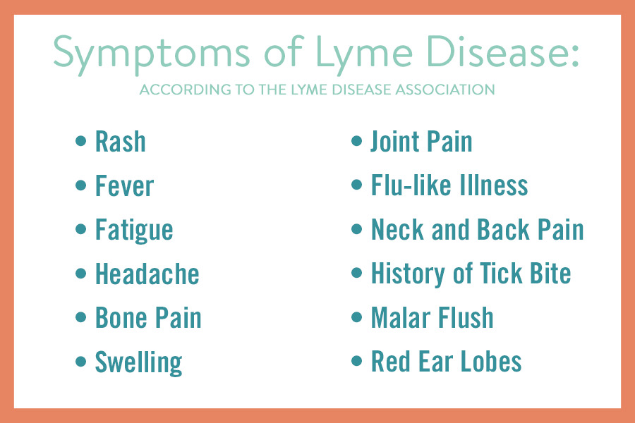 Symptoms of Lyme Disease infographic