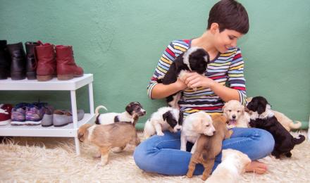 Woman playing with new puppies