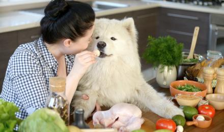 Woman feeding dog vegetables