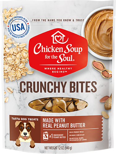 Dog Treats - Peanut Butter Crunchy Bites (front view)