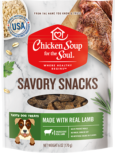 Dog Treats - Lamb Savory Snacks (front view)