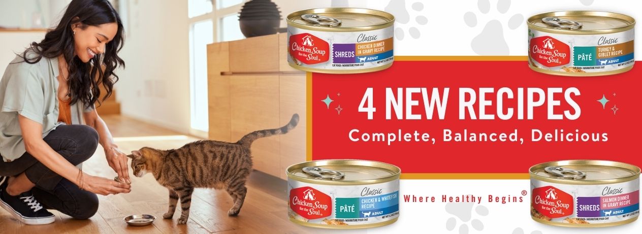 Chicken Soup for the Soul Cat Food: Four new recipes