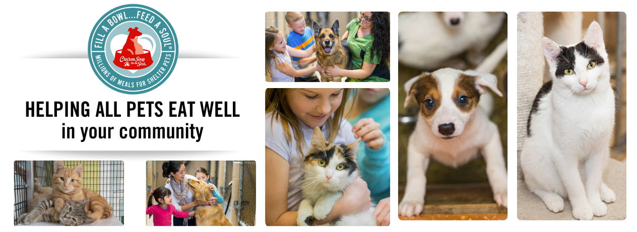 Chicken Soup for the Soul Fill A Bowl... Feed A Soul - Millions of meals for shelter pets