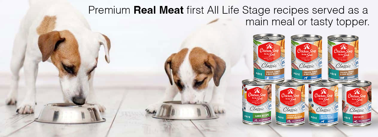Chicken Soup for the Soul Dog Food: Premium real meat first, all life stage receipes served as a main meal or tasty topper