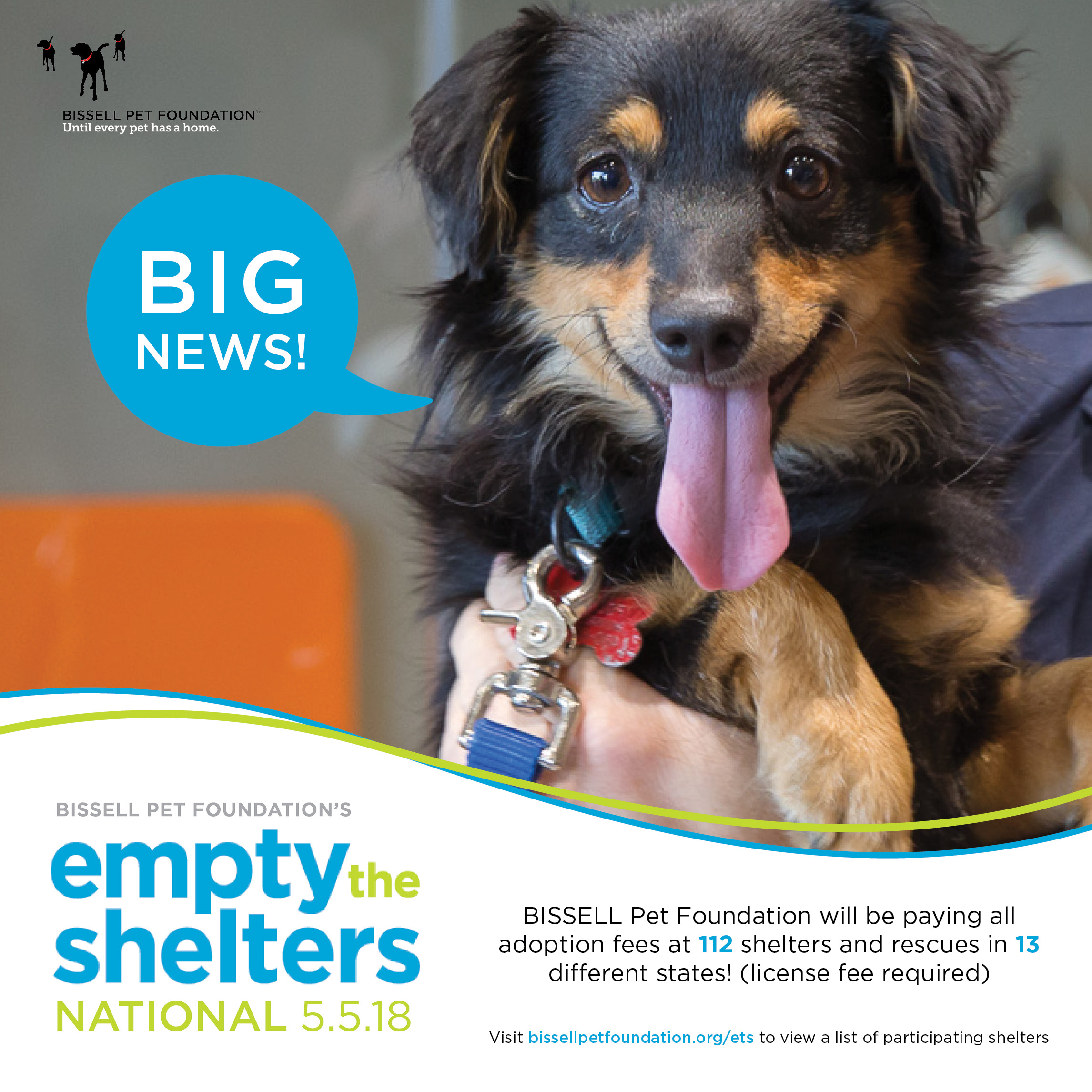 Announcement for Empty the Shelters