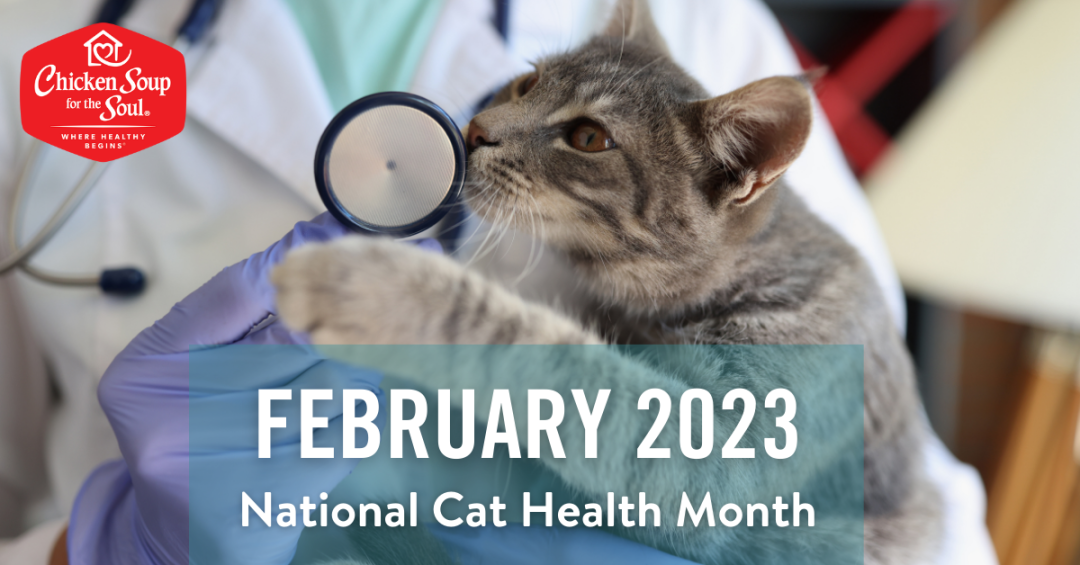 vet holding cat, text reads "February 2023: National Cat Health Month"