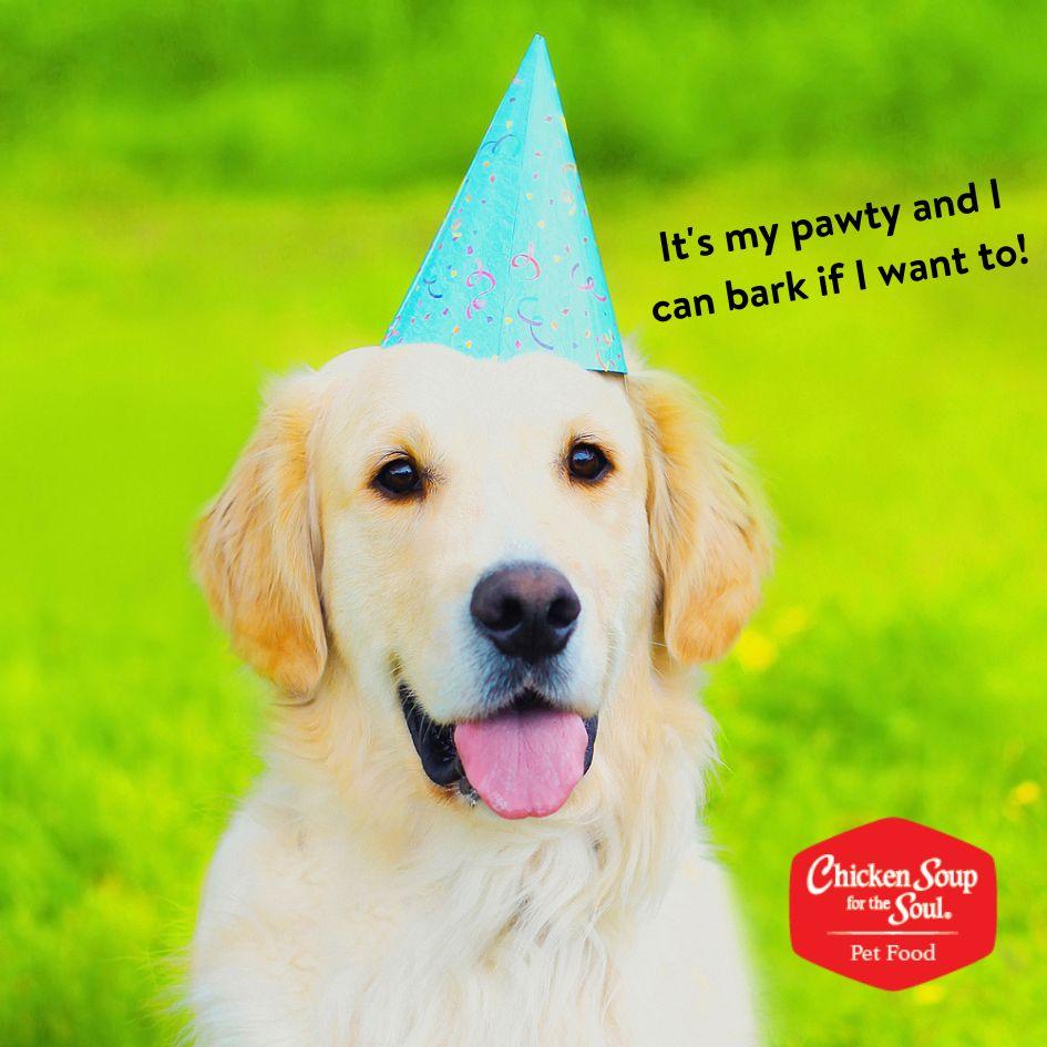 sweet dog with a party hat and the image reads it's my pawty and I can bark if I want to