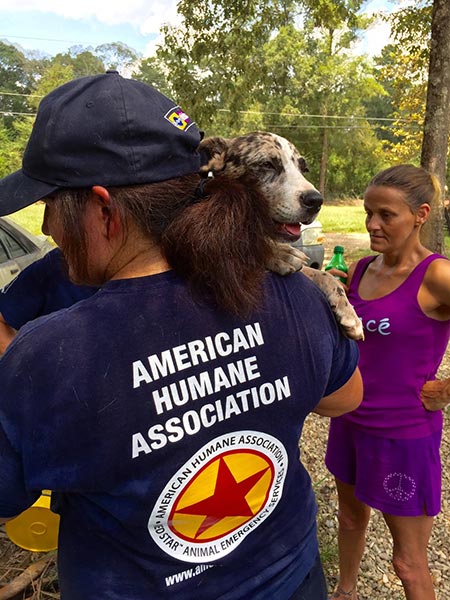 American Humane volunteer with dog in Louisiana