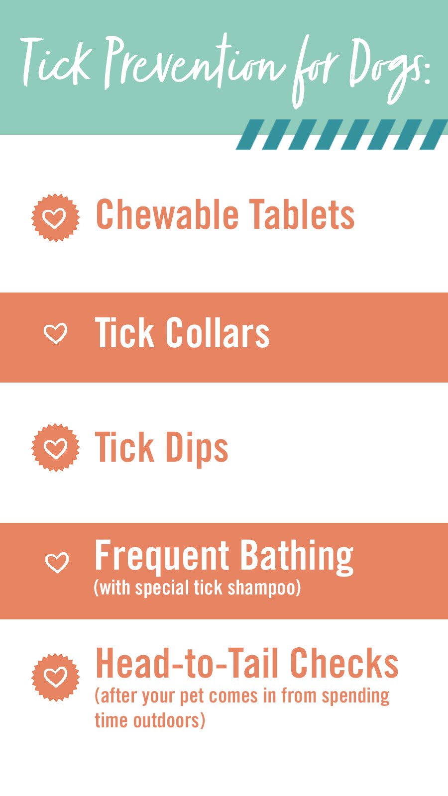 Tick Prevention for Dogs infographic