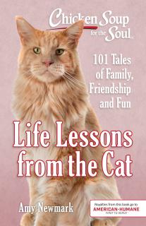 Chicken Soup for the Soul: Life Lessons from the Cat