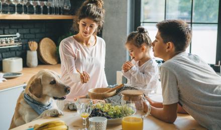 Kids and dog having snack time in the kitchen