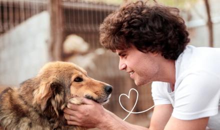 man with curly hair looking lovingly at rescue dog