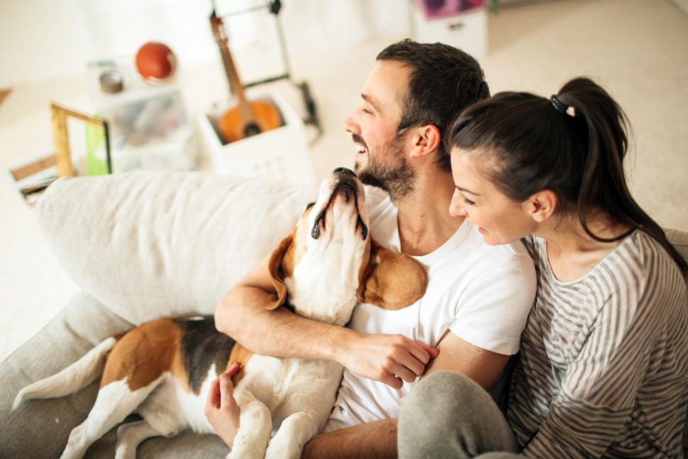 photo of dog with man and woman
