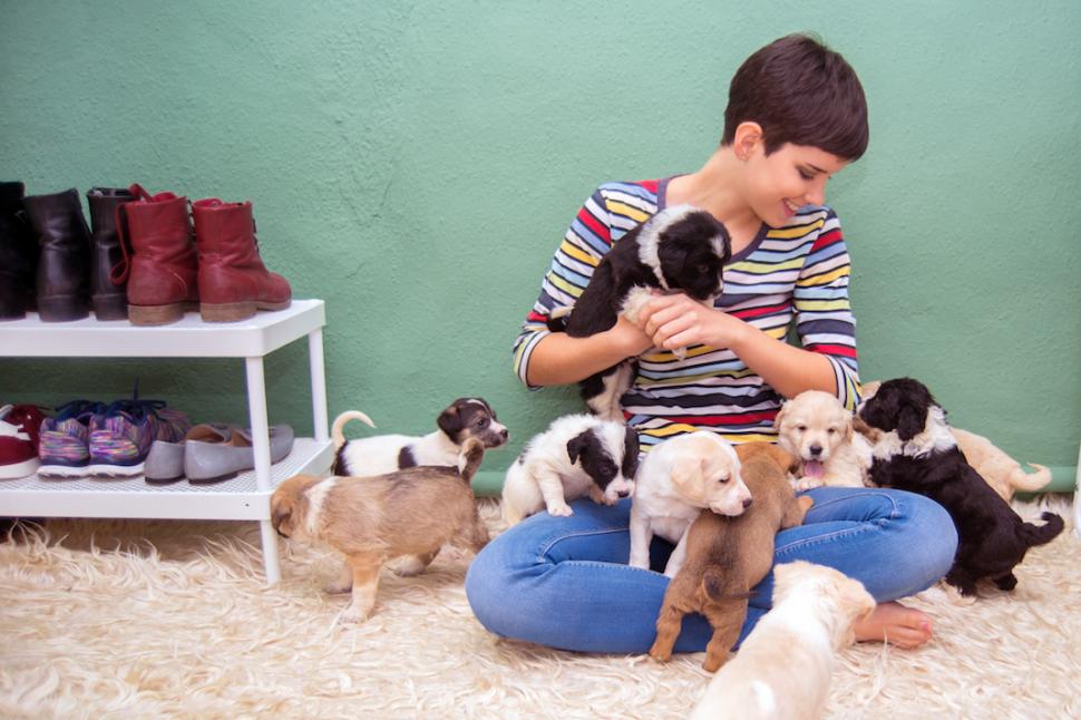 Woman playing with new puppies