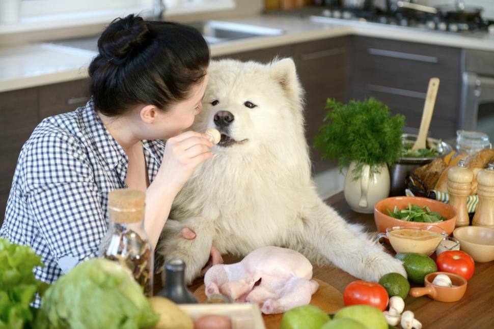 Woman feeding dog vegetables