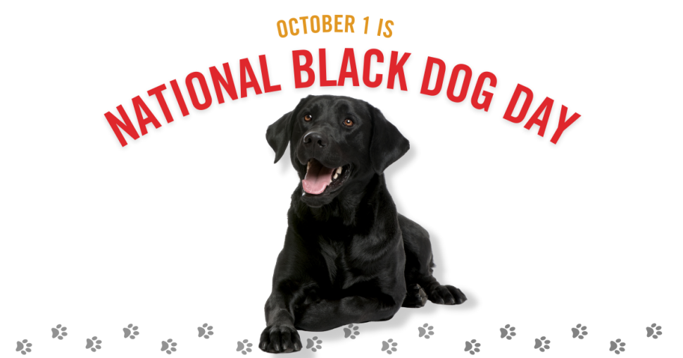 Happy black dog with text above that says National Black Dog Day