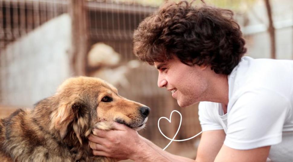 man with curly hair looking lovingly at rescue dog