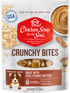 Dog Treats - Peanut Butter Crunchy Bites (front view)